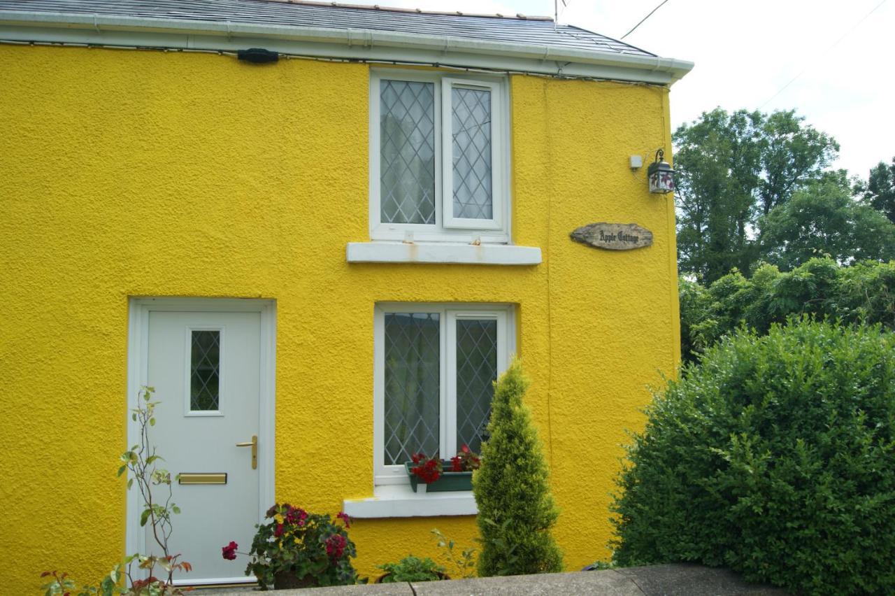 Apple Cottage Brynamman Esterno foto